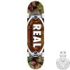Real Complete Team Tropic Ovals 2 Md Multi 7.75″ -Scooters & Skateboards REA COM 0232