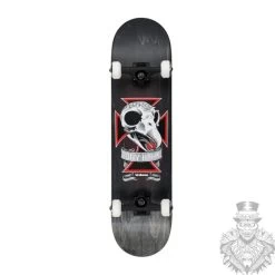 Birdhouse Skull 2 Black Stage 3 Complete – 8.125″